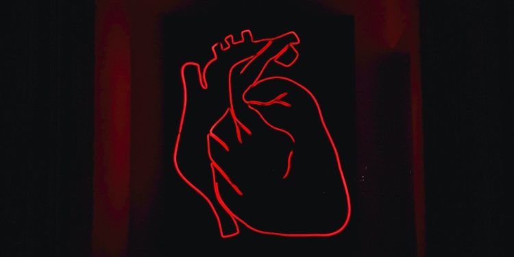 Plain English guide to cashflow